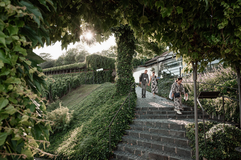 Garden path near the symposium venue