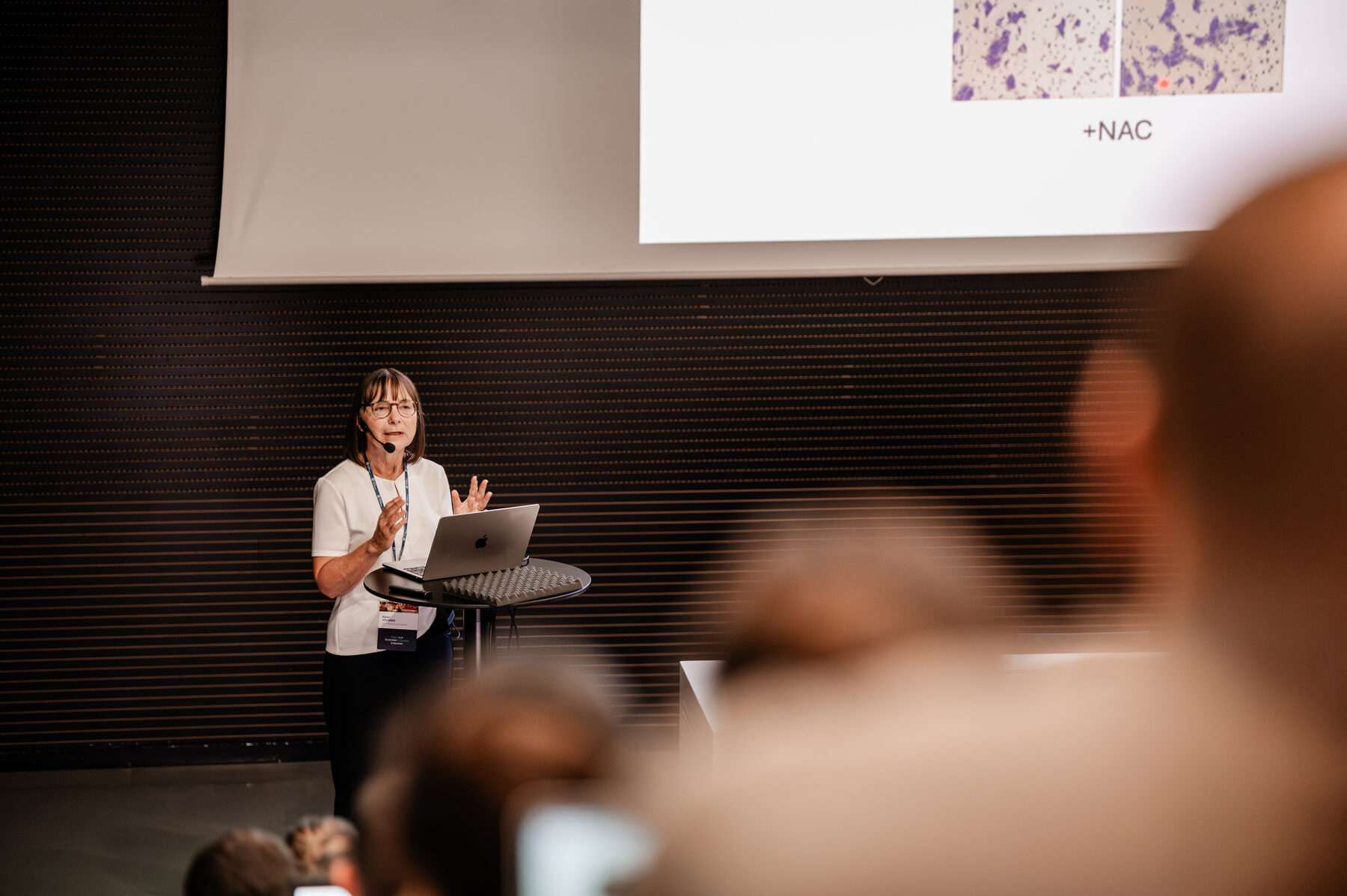 A speaker presenting research findings